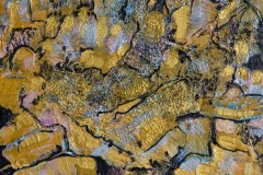 "Canadian Shield" 12x12 SOLD