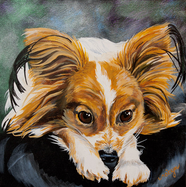 A portrait of a small dog resting