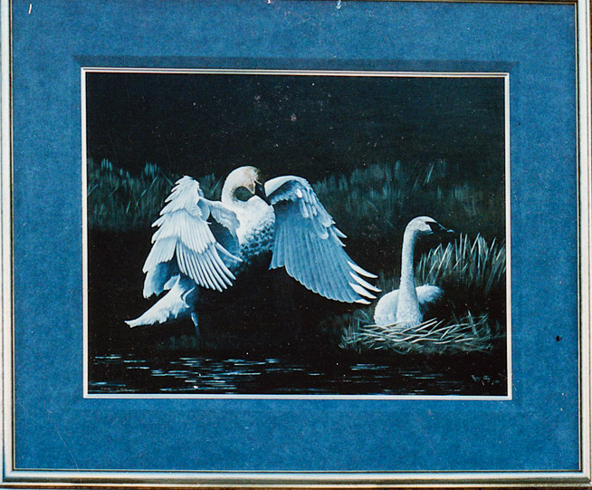 A painting shows two swans in a nest